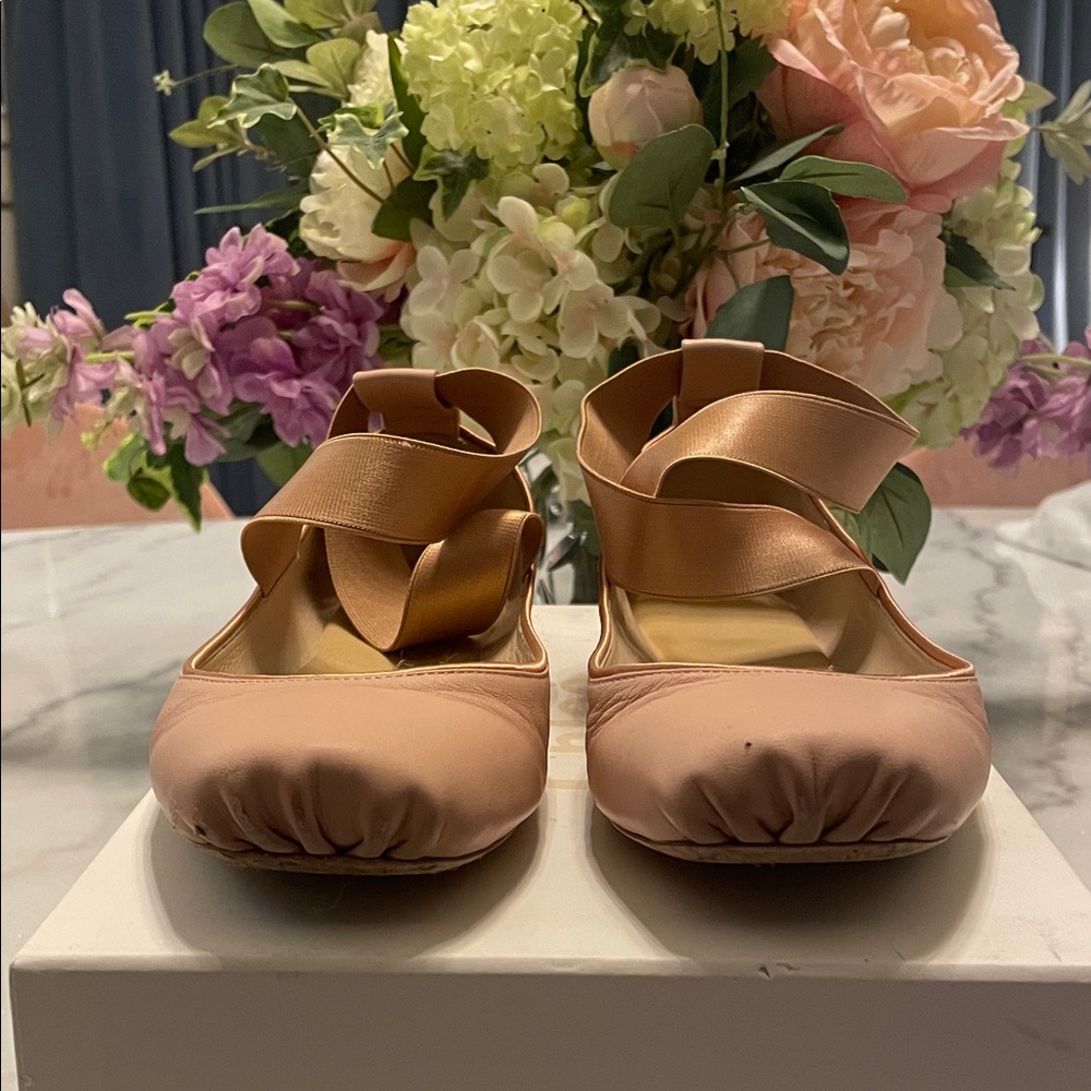 Chloe Blush Pink “Ballet Look” Flat Shoes